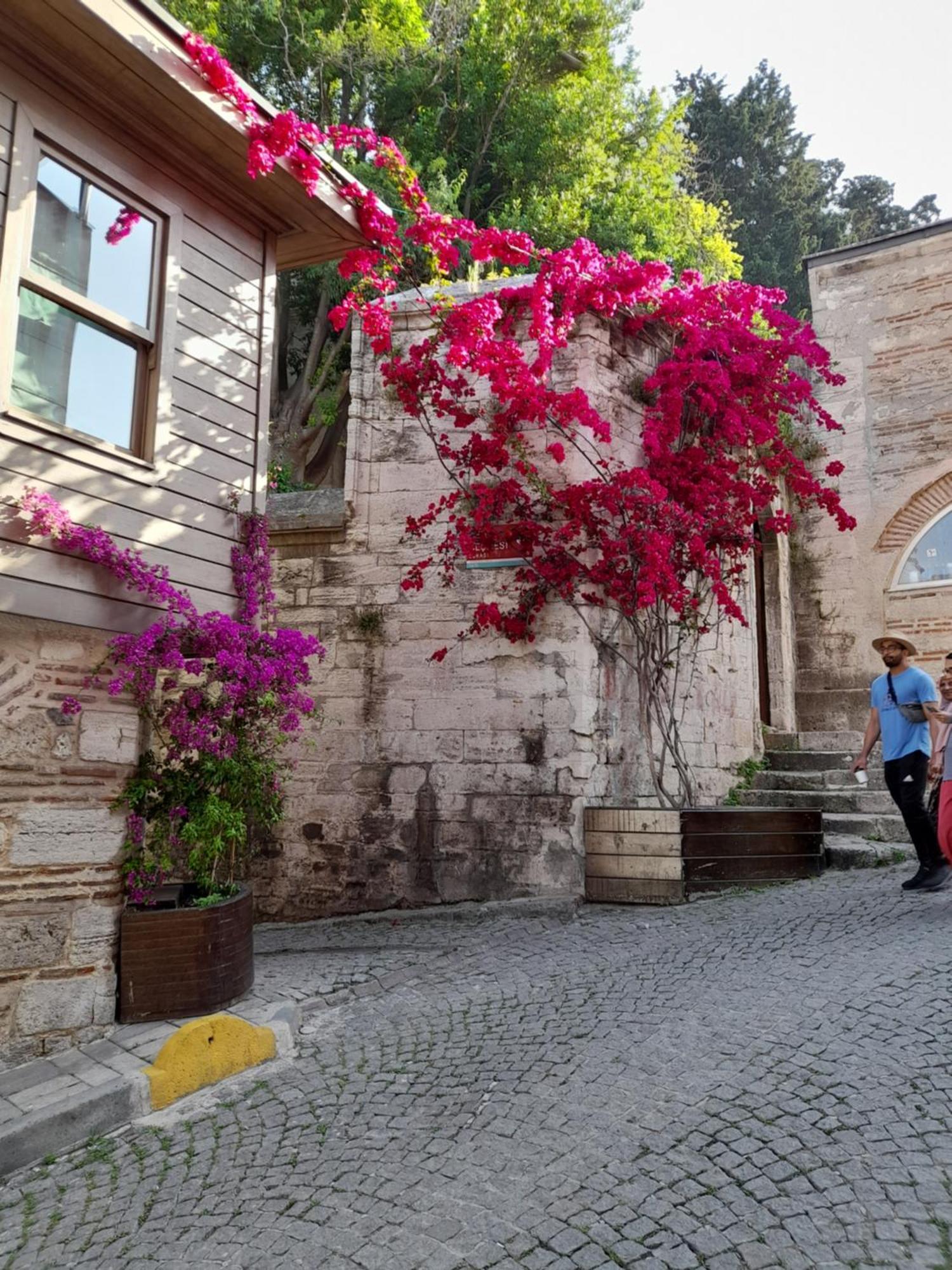Emirhan Guesthouse & Suites Provincia di Provincia di Istanbul Esterno foto